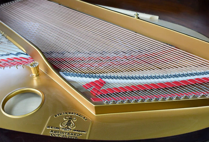 History & anatomy of the piano