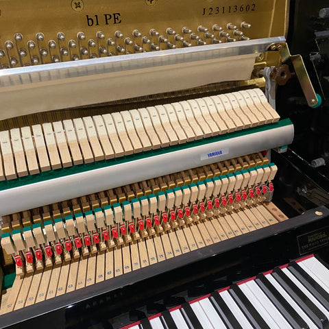 IK-2ND9893 - Pre-owned Yamaha b1 upright piano in polished ebony Default title